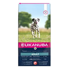 Eukanuba Adult L/XL Salmon and Barley sausas maistas šunims 12kg