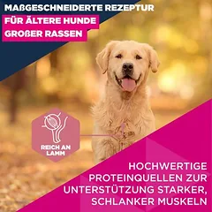 Eukanuba Premium Nutrition Senior Large & Giant Breed su ėriena ir ryžiais, sausas maistas šunims — 3 nuotrauka