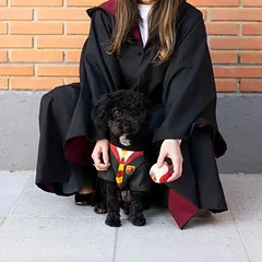 WARNER BROS Harry Potter kostiumas šunims, Dideliems 26–45 kg — 4 nuotrauka