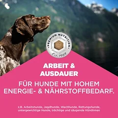 Eukanuba Special Care Working & Endurance Adult, sausas maistas šunims — 4 nuotrauka