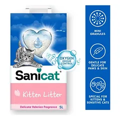 Sanicat Kitten nuotrauka