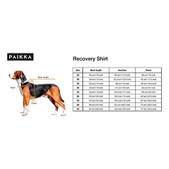 PAIKKA RECOVERY žieminis kostiumas, pilkas, 60cm — 4 nuotrauka