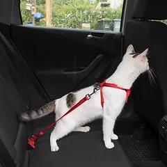 Trixie automobilio petnešos katėms, raudona — 2 nuotrauka