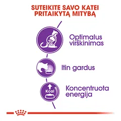 ROYAL CANIN FHN Sensible sausas maistas  suaugusioms katėms 4 kg — 2 nuotrauka