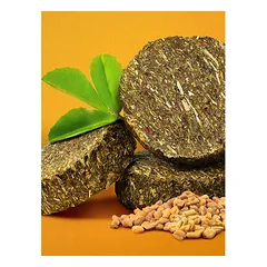 Longside Bonding skanėstai arkliams, aromatingas ožragis 500 g — 2 nuotrauka