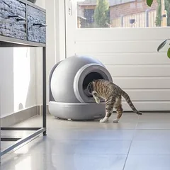 beeztees Automatische Katzentoilette Moeza