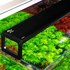 Skylight FOQAL F2XL.90Ah