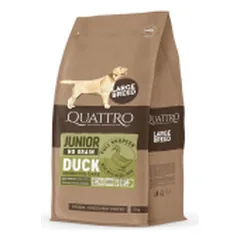 QUATTRO JUNIOR Large Breed begrūdis sausas pašaras didelių veislių jauniems šunims su antiena