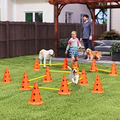 Šunų agility rinkinys 6 vnt. — 2 nuotrauka