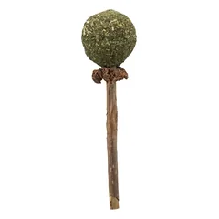 TRIXIE Matatabi žaislas katei lazdelė su katžolės kamuoliuku, 11 cm