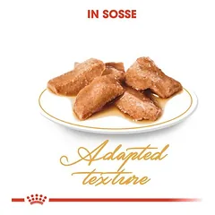 Royal Canin Maine Coon Adult padaže, drėgnas maistas katėms — 3 nuotrauka