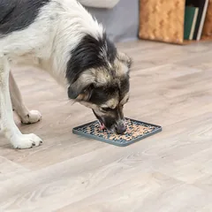Trixie Lick’n’Snack laižymo lėkštė augintiniams, silikoninė, neslystanti, pilka
