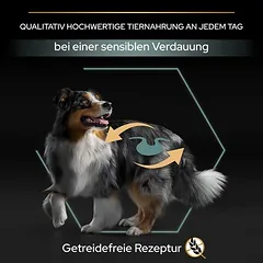 PURINA PRO PLAN Medium & Large Adult Sensitive Digestion begrūdis sausas maistas šunims — 3 nuotrauka