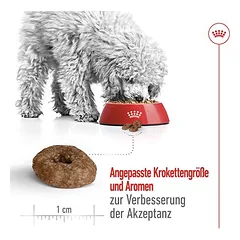 Royal Canin Mini Ageing 12+ sausas maistas šunims, 3 - 4,9 kg — 5 nuotrauka