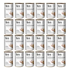 BRIT Veterinary Diet Dog Joint and Mobility maistas 24x400g