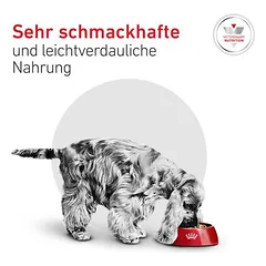Royal Canin Veterinary Canine Glycobalance Small Dog sausas maistas šunims, 1,5 - 2,9 kg — 4 nuotrauka