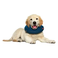 Veterinarinis apsauginis antkaklis S — 3 nuotrauka