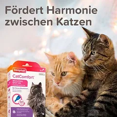 beaphar CatComfort Spot-On gerai savijautai katėms, 3 pipetės x 0,55 ml — 2 nuotrauka