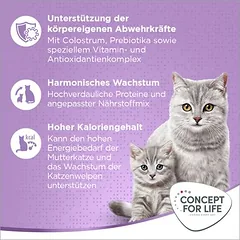 Concept for Life Mum & Young Kittens sausas maistas katėms – patobulinta receptūra!, > 10 kg — 5 nuotrauka