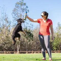 Chuckit! Sniff Fetch uostomi kamuoliukai tūboje, žaislas šunims, Vidutiniams 11–25 kg — 3 nuotrauka