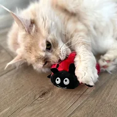 Aumüller žaislas katėms Boružė Dotty, 1 vnt. — 3 nuotrauka