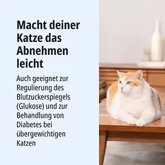 Virbac Veterinary HPM Cat Weight Loss & Diabetes W1, sausas maistas katėms, 5 - 9,9 kg — 3 nuotrauka