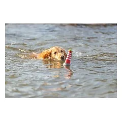 Trixie Aqua Toy vandens žaislas šunims, švyturys ant virvės TPR 26 cm — 4 nuotrauka