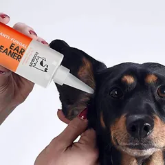 DOGSLIFE ausų valiklis šunims, 237 ml — 2 nuotrauka