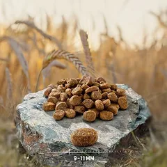 Purizon Adult su menke, senovinių grūdų sausas maistas katėms, < 1,4 kg — 2 nuotrauka