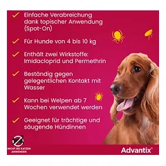 Advantix® 100 Spot-on für Hunde, von 4 bis 10 kg