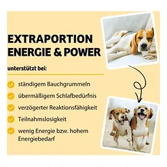 BugBell Energy Wonder, sausas maistas šunims, < 1,4 kg — 2 nuotrauka