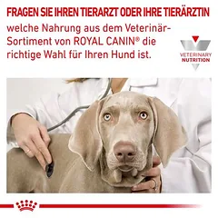 Royal Canin Veterinary Canine Cardiac Mousse drėgnas maistas šunims — 5 nuotrauka