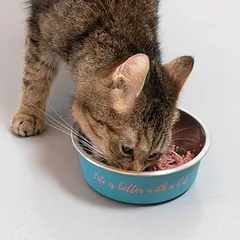 TIAKI nerūdijančio plieno dubenėlis „Better With A Cat“, 450 ml, Ø 14 cm — 5 nuotrauka