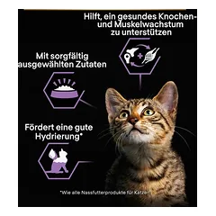 PURINA PRO PLAN Kitten Healthy Start drėgnas maistas kačiukams 24 x 85 g, 80 - 99 g — 5 nuotrauka