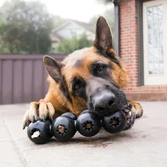 KONG Extreme Goodie Ribbon žaislas šunims, Dideliems 26–45 kg — 2 nuotrauka