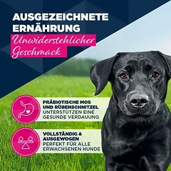 Eukanuba Adult su jautiena ir moliūgais, drėgnas maistas šunims — 2 nuotrauka