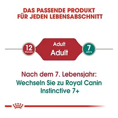 Royal Canin Regular Sensible 33 drėgnas maistas, papildantis sausą maistą katėms — 5 nuotrauka