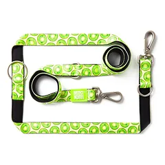 Max&Molly Multi-Leash Kiwi - reguliuojamas pavadėlis šunims, įdomus raštas, 200 cm — 4 nuotrauka
