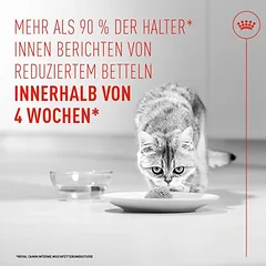 Royal Canin Appetite Control Care AirLift Mousse drėgnas maistas katėms, 80 - 99 g — 2 nuotrauka