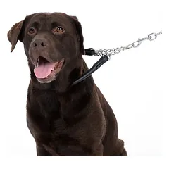 TIAKI antkaklis šunims Chain, apie 55 cm Kaklo apimtis — 4 nuotrauka