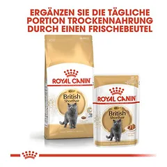 Royal Canin British Shorthair Adult sausas maistas katėms, Ekonominė pakuotė: 2 x 10 kg — 4 nuotrauka