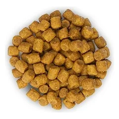 Hill's Science Plan Adult Lamb sausas maistas su ėriena katėms, 10 kg — 2 nuotrauka
