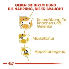 Royal Canin Dachshund Adult drėgnas maistas, papildantis sausą maistą šunims, 80 - 99 g — 5 nuotrauka