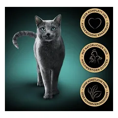 Sheba Nassfutter + 180 g Dreamies Snack mit Huhn gratis!
