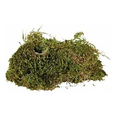 Trixie Terrarium Moss 200 g — 3 nuotrauka