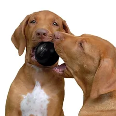 KONG Ball Extreme žaislas šunims, Ekonominė pakuotė: 2 x S: Ø apie 6 cm — 3 nuotrauka