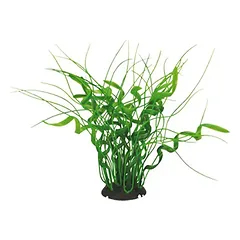 Aquael plastikinis augalas akvariumui cp-035, 20cm