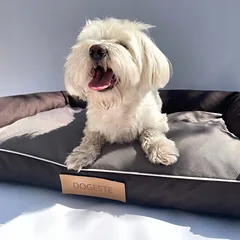 DOGESTE L dydžio vandeniui atsparus šuns guolis-sofa su nemokamu užrašu, 82 × 50 cm — 3 nuotrauka