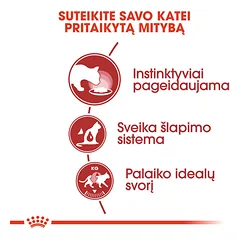 ROYAL CANIN FHN Instinctive in gravy konservai padaže suaugusioms katėms 12x85 g — 3 nuotrauka