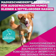 Eukanuba Premium Nutrition Adult Small & Medium Breed su lašiša, sausas maistas šunims — 3 nuotrauka